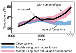 Observed human causes